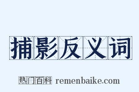 捕影反义词是什么意思的图片